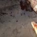 Suspeito de r0ub0 sofr3 ac1dente e ainda é e$pancad0 pela população em Manaus