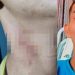 Imagens fortes: veja c0rpo do marido m0rt0 e feriment0s da esposa que o mat0u no Amazonas