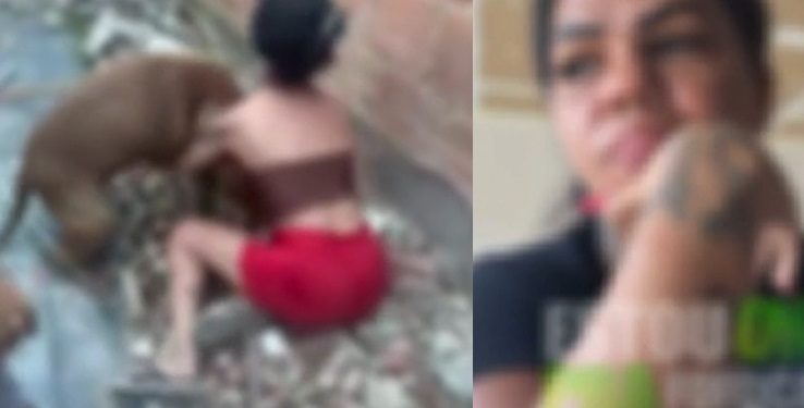 Vídeo: mãe coloca pitbull para morder a filha ao descobrir que ela é do job e furt0u celular