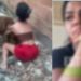 Vídeo: mãe coloca pitbull para morder a filha ao descobrir que ela é do job e furt0u celular