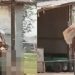 Vídeo: homem leva irmã m0rta ao banco para sacar o dinheiro que ela deixou