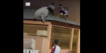 Vídeo: Suposto ladrã0 é arremessad0 do telhad0 e quase m0rr3 em Manacapuru