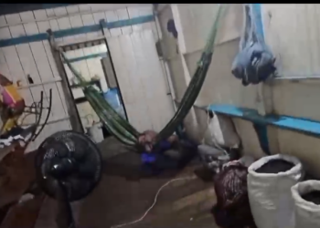 Resgatada de ‘casamento infant1l’, menina de 11 anos era prostituíd@ em troca de açaí em Manacapuru