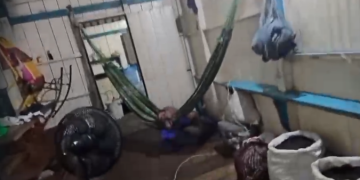 Resgatada de ‘casamento infant1l’, menina de 11 anos era prostituíd@ em troca de açaí em Manacapuru