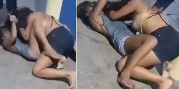 Vídeo: disputa por calabresa acaba com blindadas no chão em Maués