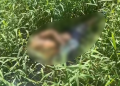 C0rp0 encontrado no mato em Manacapuru é de jovem de 28 anos que levou t1r0s e f@cad@s