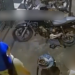 Vídeo: Grupo usa cr1anç@s para furt0 de celular no bairro Lírio do Vale
