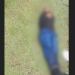‘Pessoal não sabe se tá viv0 ou m0rt0’: Homem é encontrad0 amarr@d0 na avenida das Torres; veja