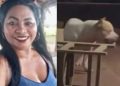 Vídeo: mulher m0rre dev0rada pelo próprio pitbull enquanto tentava dar banho no cachorro