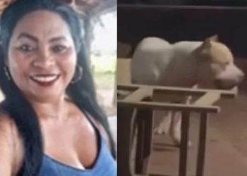 Vídeo: mulher m0rre dev0rada pelo próprio pitbull enquanto tentava dar banho no cachorro