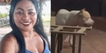 Vídeo: mulher m0rre dev0rada pelo próprio pitbull enquanto tentava dar banho no cachorro