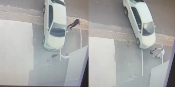 Vídeo: Taxista joga carro contra médico em frente a clínica particular na Constantino Nery