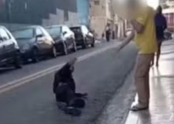 Vídeo: Chorando, assaltante pede perdão após ser b4lead0 em mercado