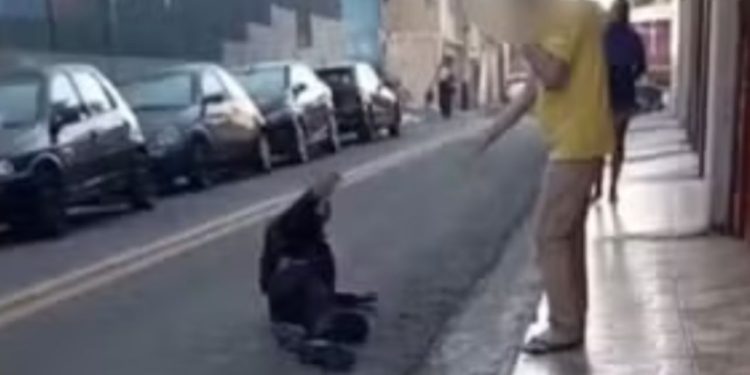 Vídeo: Chorando, assaltante pede perdão após ser b4lead0 em mercado