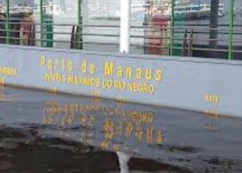 Rio Negro tem 96% de chance de ultrapassar cota de inundação em Manaus