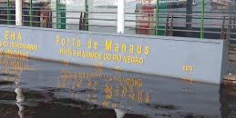 Rio Negro tem 96% de chance de ultrapassar cota de inundação em Manaus