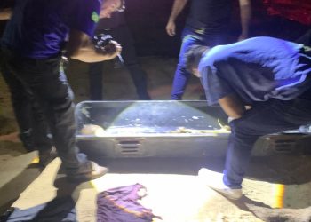 Moradores encontram ossada humana em área de mata em Manaus