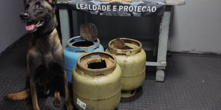 Droga avaliada em R$ 590 mil é encontrada dentro de botijas em embarcação em Coari
