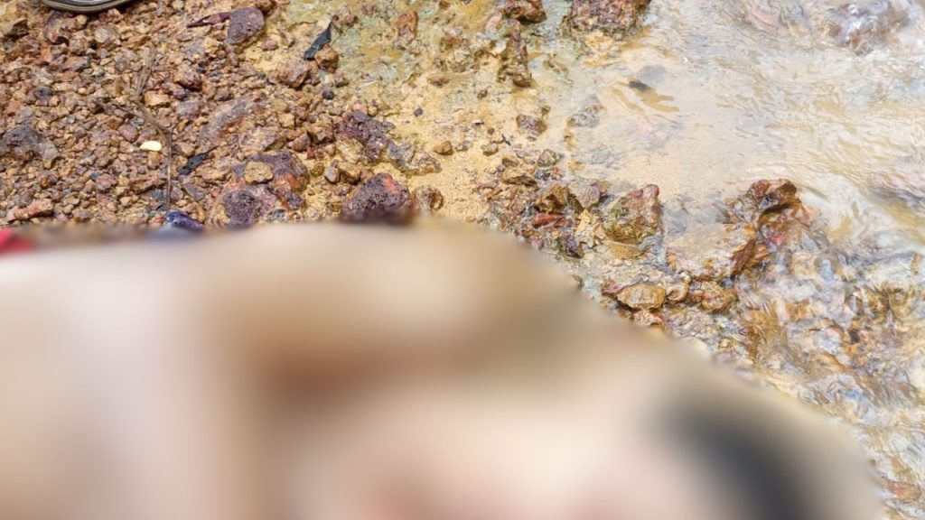 Jovem sem identificação é encontrado m0rt0 e am4rrad0 em ramal no Amazonas