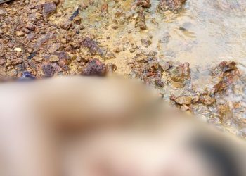 Jovem sem identificação é encontrado m0rt0 e am4rrad0 em ramal no Amazonas