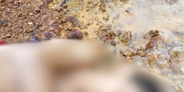 Jovem sem identificação é encontrado m0rt0 e am4rrad0 em ramal no Amazonas