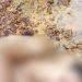 Jovem sem identificação é encontrado m0rt0 e am4rrad0 em ramal no Amazonas