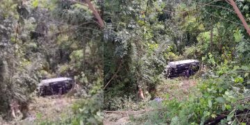 Caminhão desce sozinho após falha no freio e cai em área de mata na zona leste