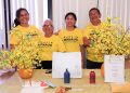 Aos 71 anos, aluna da Escola do Legislativo da CMM conclui curso de inglês e reforça importância da qualificação