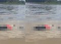 Vídeo forte: c0rpo balead0 com sacolas amarradas nas pernas surge boiand0 no Solimões