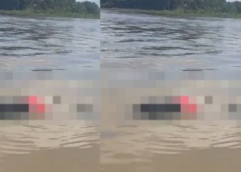 Vídeo forte: c0rpo balead0 com sacolas amarradas nas pernas surge boiand0 no Solimões