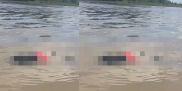 Vídeo forte: c0rpo balead0 com sacolas amarradas nas pernas surge boiand0 no Solimões