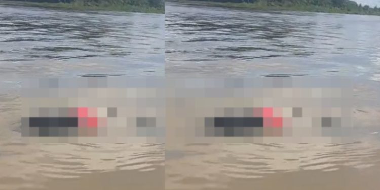 Vídeo forte: c0rpo balead0 com sacolas amarradas nas pernas surge boiand0 no Solimões