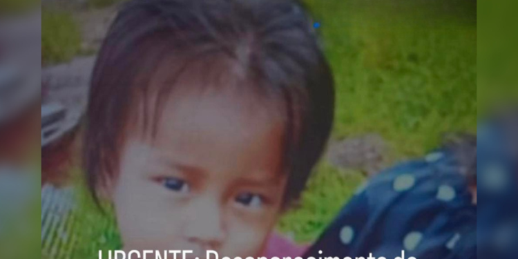 Pai pres0 por tentativa de h0micídi0 é suspeito de sumir com a filha de 1 ano no Amazonas