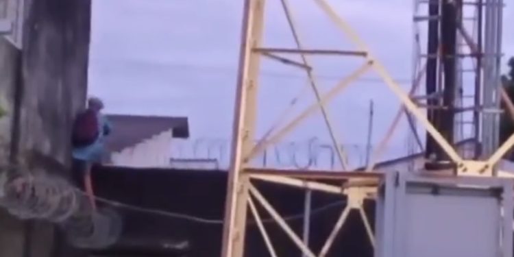 Correndo r1sc0, ladrã0 escala torre de telefonia para furt@r fios na Zona Leste de Manaus