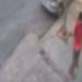 Vídeo: polícia procura homem acusado de assédi0 à mulheres nas ruas