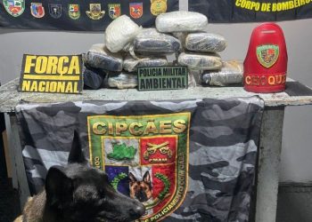 Apreensão de 11,3 kg de skunk em barco no Amazonas gera rombo de R$ 226 mil ao tráfic0