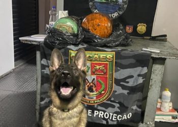 Cadela Íris, da PM-AM, indica dr0ga e 23 kg de pasta-base de cocaína é encontrada em cilindros frigoríficos