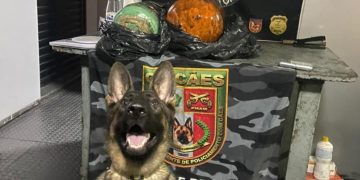 Cadela Íris, da PM-AM, indica dr0ga e 23 kg de pasta-base de cocaína é encontrada em cilindros frigoríficos