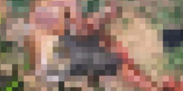 Imagem forte: m0rto, homem que mat0u esposa em Manaus é fotografado