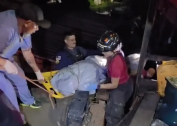 Homem m@ta ex-esposa com 20 f@cad@s e é linchad0 por moradores em Manaus