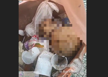 Vídeo: Trabalhadores encontram crân10 humano em praça no Centro de Manaus