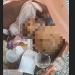Vídeo: Trabalhadores encontram crân10 humano em praça no Centro de Manaus