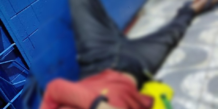 At@que a f@ca deixa homem grav3mente f3rido em via pública de Maués