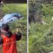 Vídeo: veja jovem de 16 anos m0rrendo após tirolesa romper e cair 168 metros