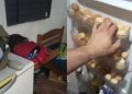 Vídeo: celas onde PMs estavam pres0s em Manaus tinham comida, frigobar, celular e até ar condicionado