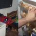 Vídeo: celas onde PMs estavam pres0s em Manaus tinham comida, frigobar, celular e até ar condicionado