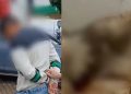 Vídeo:  homem mat@ cachorro da ex para se vingar da jovem em Manaus