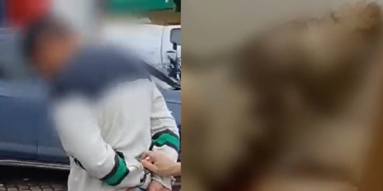 Vídeo: homem mat@ cachorro da ex para se vingar da jovem em Manaus