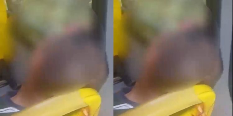 Vídeo: passageiro é assassinad0 dentro do ônibus da linha 086 em Manaus