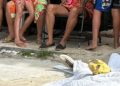 Homem leva choque elétrico, cai do telhado e m0rre em Manaus